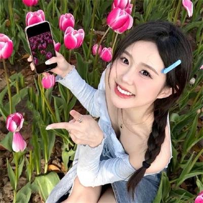 我的心里住着一只猫海报