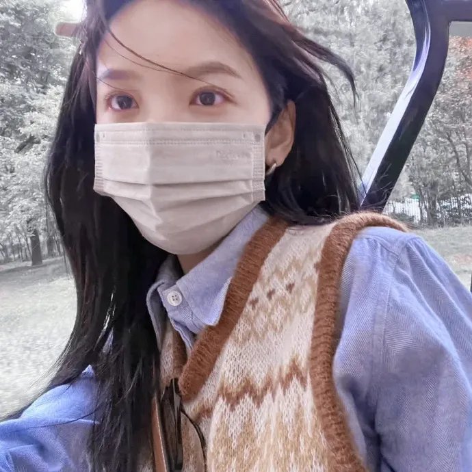 囧妈的极地任务海报