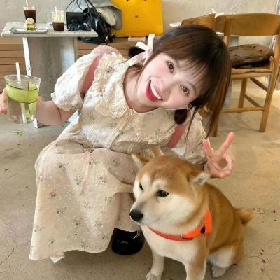 顽主海报